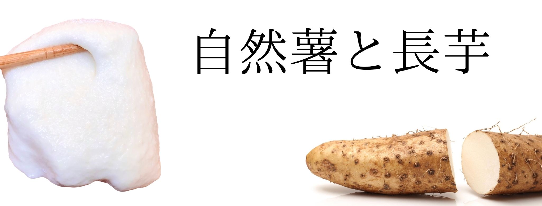 自然薯と長芋の違い 天然自然薯マイスターが解説 自然薯マイスターの深掘りblog
